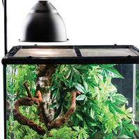 Soporte EXO TERRA de lámpara para reptiles - BESTMASCOTA.COM