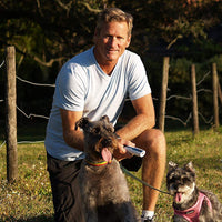 Dispositivo disuasorio del ladrido, detiene tanto el ladrido como otros comportamientos no deseados, seguro para los humanos - BESTMASCOTA.COM