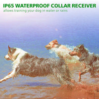 F-color collar de entrenamiento para perro, 2600FT collar de choque para perros grandes medianos y pequeños de raza, con 4 modos de luz de vibración de pitido, collar de choque impermeable y recargable para 3 perros - BESTMASCOTA.COM