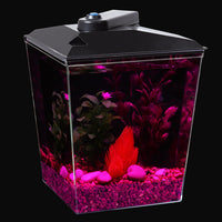 Koller Products AquaView - Depósito de pescado (2,5 galones, filtro de potencia, iluminación LED (AP25000FFP) - BESTMASCOTA.COM