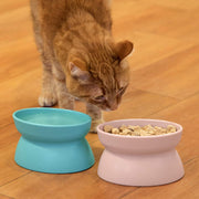 Kitty City - Comedero elevado, sin estrés, para gatos - BESTMASCOTA.COM