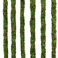 Galápagos (05321) Mossy terrario de incienso (6 Pack), 24" - BESTMASCOTA.COM