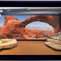 Reptil Habitat fondo, Big arco, 24" x 36", con cuadrados adhesivos - BESTMASCOTA.COM