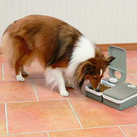 Alimentador automático de mascotas PetSafe , Blanco - BESTMASCOTA.COM