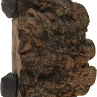 magnaturals 37088 Mushroom Ledge - BESTMASCOTA.COM