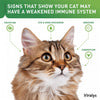 Gel oral para gatos Viralys, 5 onzas - BESTMASCOTA.COM