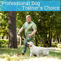 PetSpy Collar de choque Premium para entrenamiento de perros, con vibración, choque y pitido, recargable e impermeable, E-collar, El mejor entrenador a distancia - BESTMASCOTA.COM
