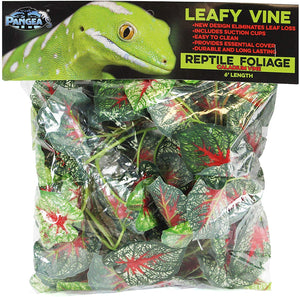 Pangea Leafy Vine - BESTMASCOTA.COM