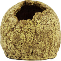 Cueva de calavera humana de Pangea - BESTMASCOTA.COM