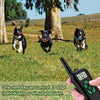 Willbest 2019 Collar de entrenamiento para perro actualizado, impermeable y recargable, rango de choque de 1650 pies con pitido, vibración, golpes, modos de luz de seguimiento - BESTMASCOTA.COM