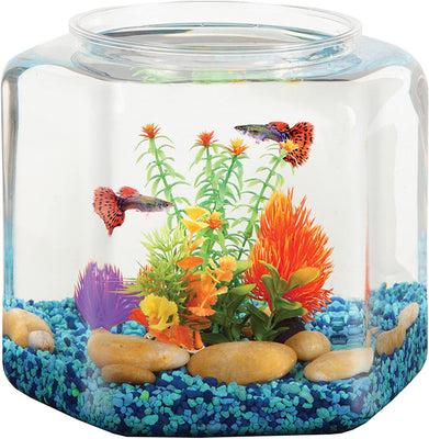 Koller Products BettaTank - Cuenco hexagonal para pescado (2 galones) - BESTMASCOTA.COM