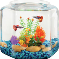 Koller Products BettaTank - Cuenco hexagonal para pescado (2 galones) - BESTMASCOTA.COM