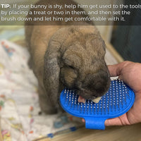 Dashka conejo Kit de aseo con cepillo para polvo de aseo de conejo el mejor cepillo para polvo de pelo de conejo y removedor de pelo de conejo - BESTMASCOTA.COM
