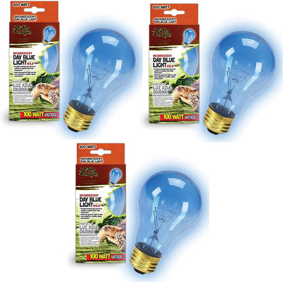 Zilla foco incandescente, day Azul Luz y el calor, 100 W (3 Pack) - BESTMASCOTA.COM