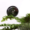 reptizoo – Reptil terrario termómetro, esfera calibres mascota Crianza caja termómetro Celsius y Fahrenheit - BESTMASCOTA.COM