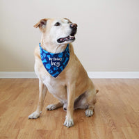 Bandana de cumpleaños para perro, diseño de niño - BESTMASCOTA.COM