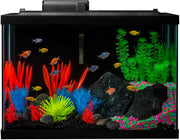 Kit de tanque de peces GloFish, incluye iluminación LED y decoración - BESTMASCOTA.COM