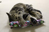 Original 11" Kitty Stick Catnip Cat Toy (2 unidades), varios colores & patrones - BESTMASCOTA.COM