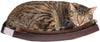 Art of Paws - Cama de perca para gato con diseño de hamaca de gato curvado, elegante mueble de madera montado en la pared, un regalo para tu gato - BESTMASCOTA.COM