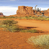 Habitat Reptil; Monument Valley con árbol, de fondo para 36 x 18 x 18 terrario, 3-sided Wraparound - BESTMASCOTA.COM