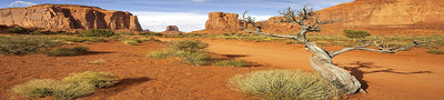 Habitat Reptil; Monument Valley con árbol, de fondo para 36 x 18 x 18 terrario, 3-sided Wraparound - BESTMASCOTA.COM