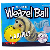D.Y. Juguete de pelota motorizada para mascotas Toy 1 Weazel - BESTMASCOTA.COM