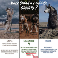 SÄKER - Estaca de amarre de alta calidad – anclaje resistente que se adapta a cualquier perro | Corbata para cable de amarre que nunca se oxida, se dobla o se extrae. - BESTMASCOTA.COM