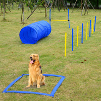 Equipo de entrenamiento para perros Pawhut, de agilidad, con obstáculos, en color azul y amarillo - BESTMASCOTA.COM