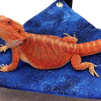 Hamaca para barbudo Dragones, Noche Estrellada tela con ventosa ganchos - BESTMASCOTA.COM