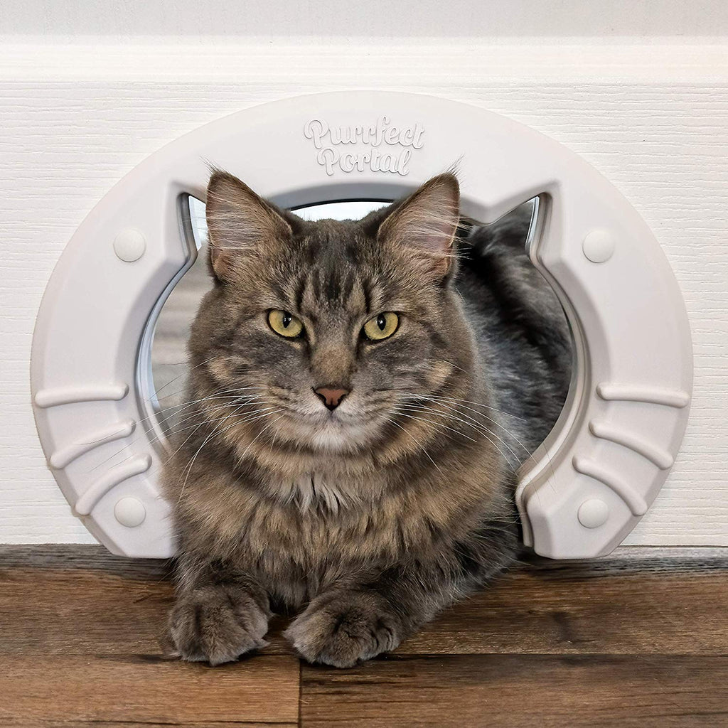 Puerta Interior para gatos con orificio en forma de gato, caja de