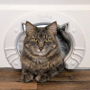 Purrfect Portal construido en el interior de la puerta de la mascota para gatos medianos y grandes. El agujero se adapta al interior del núcleo hueco o al interior de las puertas sólidas del gato. Orificio en forma de gatito para el interior de la puerta - BESTMASCOTA.COM