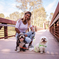 Correa doble retráctil para perros Wigzi, para 2 perros de hasta 50 lb cada uno - BESTMASCOTA.COM