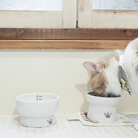 necoichi Raised Cat alimentos y agua Bowl Set (Cat) - BESTMASCOTA.COM