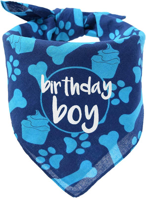 Bandana de cumpleaños para perro, diseño de niño - BESTMASCOTA.COM