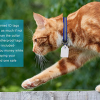Elanz - Juego de 6 collares de gato reflectantes, con campana y etiqueta de identificación – ajustable, supersuaves, duraderos de nailon para gatos, multicolor con hebillas de seguridad y etiquetas de identificación impermeables para gatos y gatos - BESTMASCOTA.COM