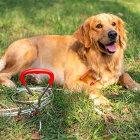 DCSUIT Dog Tie Out Cable Stake - 30 FT Rope Escape Proof Reflective Leash Heavy Duty Antirust Safety Swivel Clasp Easy Control for SML Dogs Play/Training in The Yard/Camping/Garden,Traveling Outdoor - BESTMASCOTA.COM