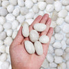 M--saltar 2 libras 1" – 2" grava tamaño natural piedras decorativas blanco pulido guijarros uso en cristalería, como jarrones, acuarios y terrarios para mejorar la apariencia - BESTMASCOTA.COM