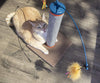smartykat rascadores para gatos con poste - BESTMASCOTA.COM