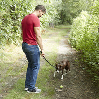 Franklin Pet Supply - Juguete para recoger perros, lanzador de pelotas de tenis, juego con tu perro, lanzador de pelotas de perro - BESTMASCOTA.COM