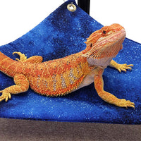 Hamaca para barbudo Dragones, Noche Estrellada tela con ventosa ganchos - BESTMASCOTA.COM