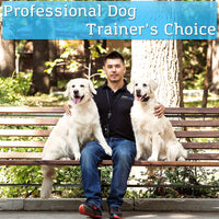PetSpy P620 Collar de entrenamiento para perros con vibración, choque eléctrico, pitido; recargable e impermeable, collar electrónico de entrenamiento remoto, 10 – 140 libras - BESTMASCOTA.COM