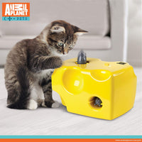 Animal Planet automático Peek A Boo – Queso juguete para gatos, características integrado función de apagado automático, Pop fuera ratones para horas de entretenimiento, jugar todo el día modo de W/de distancia, funciona con pilas - BESTMASCOTA.COM