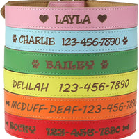 Collar para perros para personalizar - De piel suave grabado, tamaños extra pequeño, pequeño, mediano o grande, collar de identificación sin etiquetas o nombres bordados - BESTMASCOTA.COM