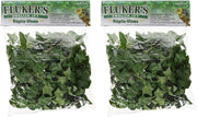 Fluker Repta Vines-Hiedra Inglés para Reptiles y Anfibios - BESTMASCOTA.COM