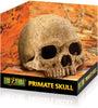 Exo Terra Primate Skull Hideaway, talla única - BESTMASCOTA.COM