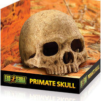 Exo Terra Primate Skull Hideaway, talla única - BESTMASCOTA.COM