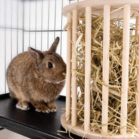 andwe - Comedero cilíndrico con tapa para conejos de indias - BESTMASCOTA.COM