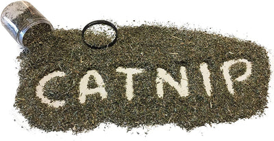 Garry's Pets Catnip – Nuestro máximo potencial Premium mezcla Nip que sus gatos van loco sobre - BESTMASCOTA.COM