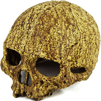 Cueva de calavera humana de Pangea - BESTMASCOTA.COM