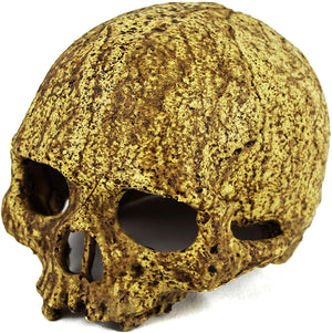 Cueva de calavera humana de Pangea - BESTMASCOTA.COM